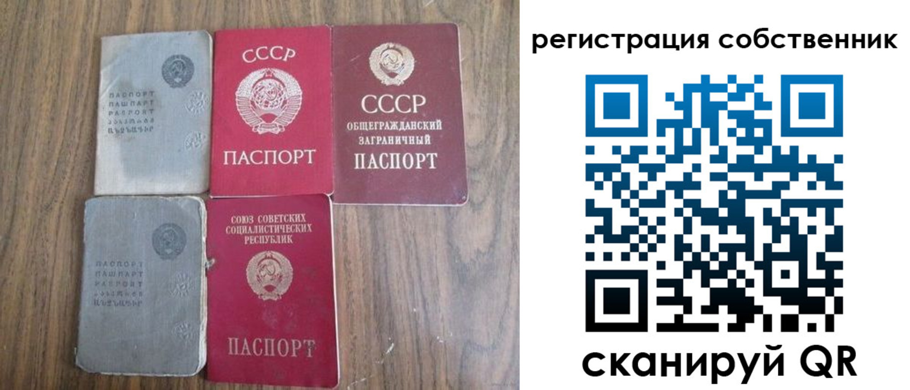 прописка ребенка в Александровске